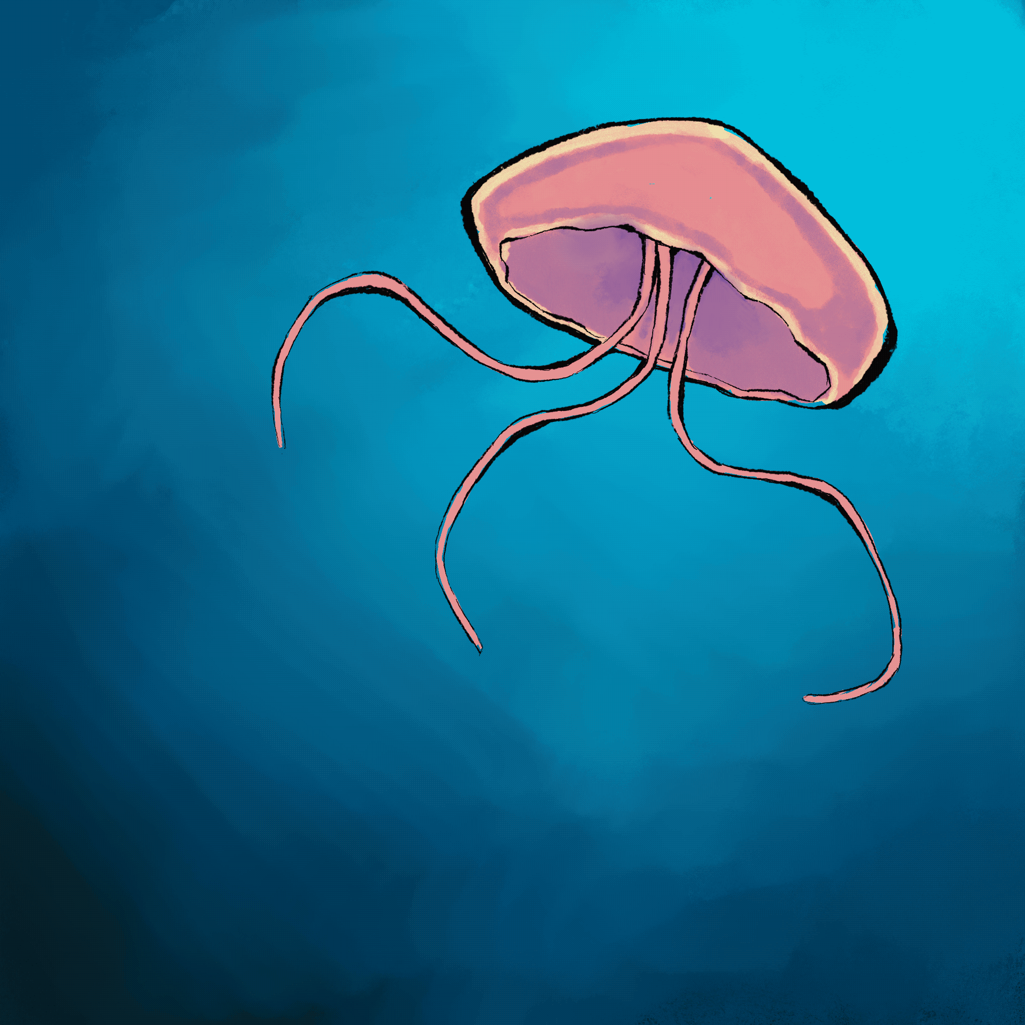 squashuality icon